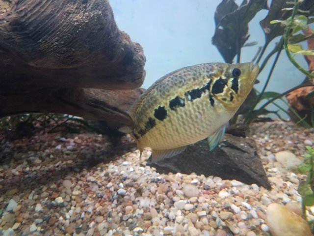 20180826_204903.jpg