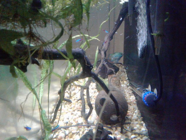 20180827_095051.jpg