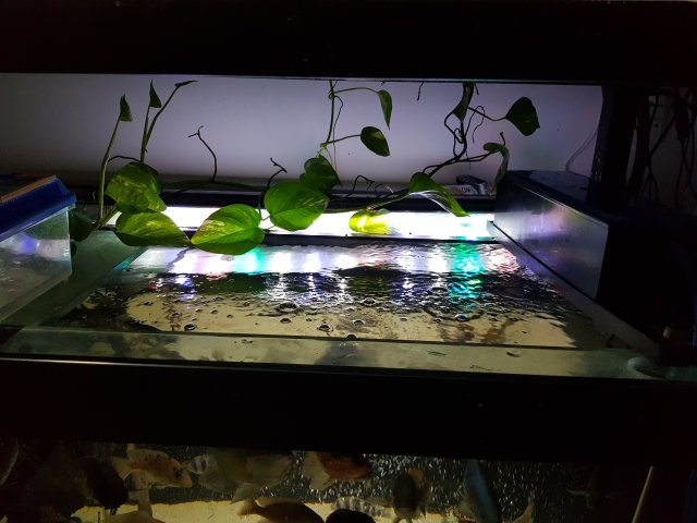 20180510_194112.jpg 20180510_194112.jpg