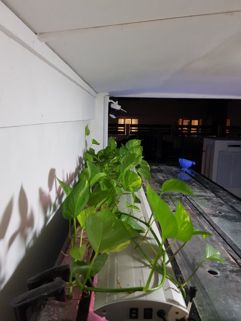 20180510_193846.jpg 20180510_193846.jpg