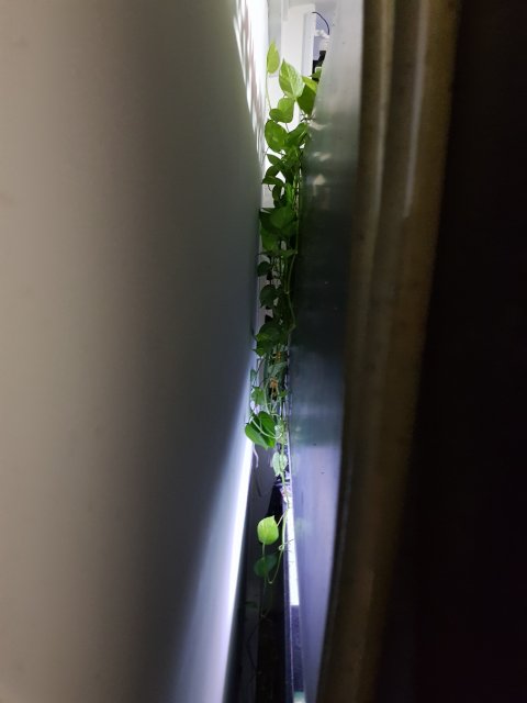 20180510_193836.jpg 20180510_193836.jpg