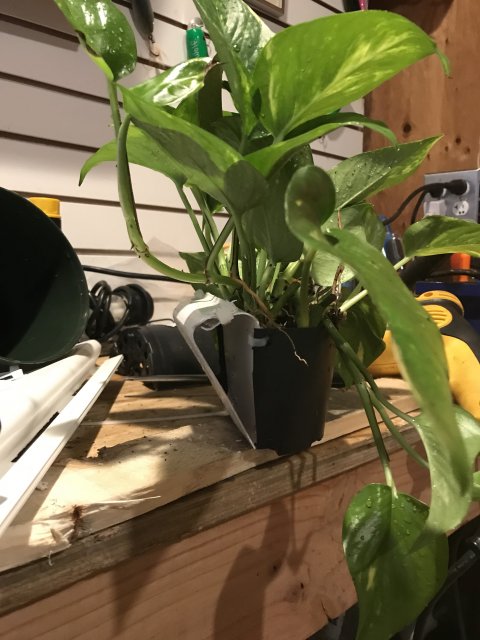 7638E8CF-8EF6-4ECC-A453-3F517E2FDC1C.jpeg 7638E8CF-8EF6-4ECC-A453-3F517E2FDC1C.jpeg