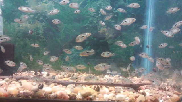 20180828_184253.jpg