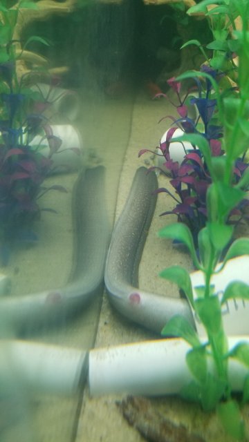 20180831_203726.jpg