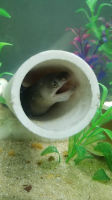 20180831_204751.jpg 20180831_204751.jpg
