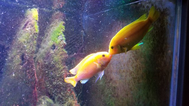 20180831_173059.jpg