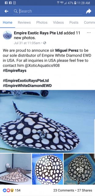 Screenshot_20180901-112825_Facebook.jpg