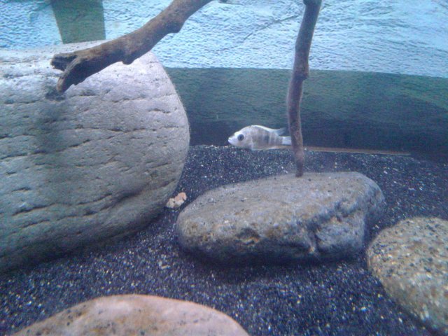 20180901_101559.jpg