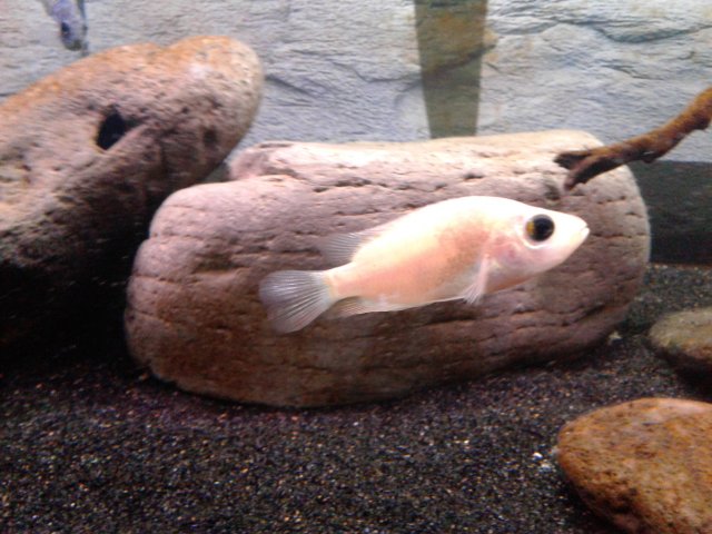 20180901_134843.jpg