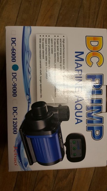20180901_185727_resized.jpg