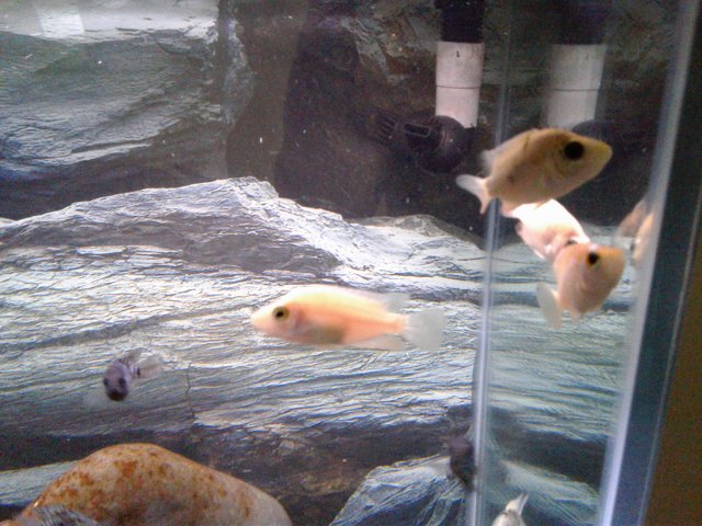 20180903_145642.jpg
