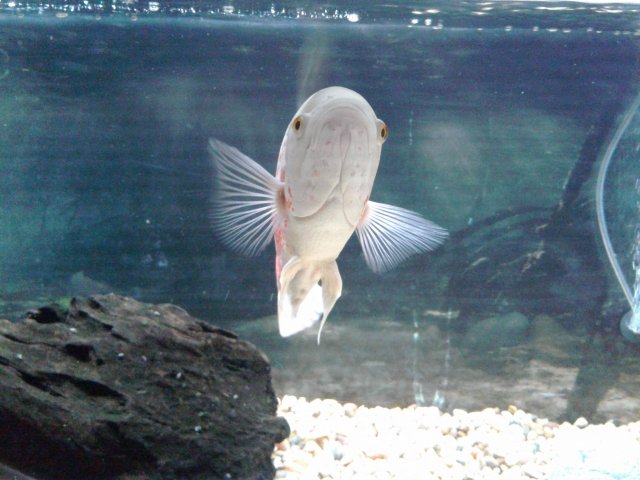20180904_191823.jpg