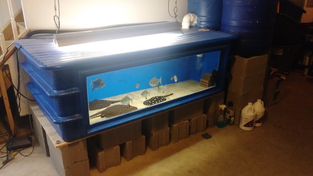 20180905_221105.jpg