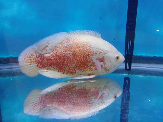20180906_103519.jpg