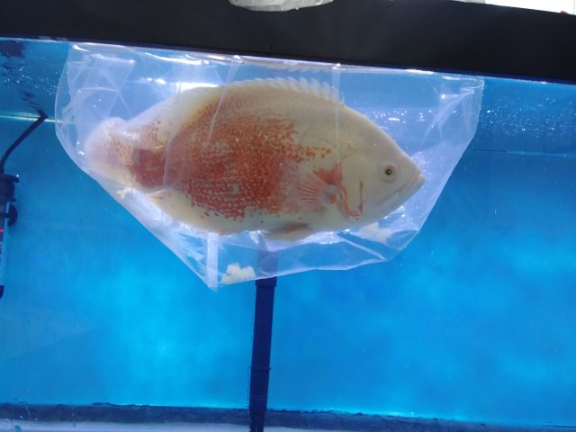 20180906_102534.jpg