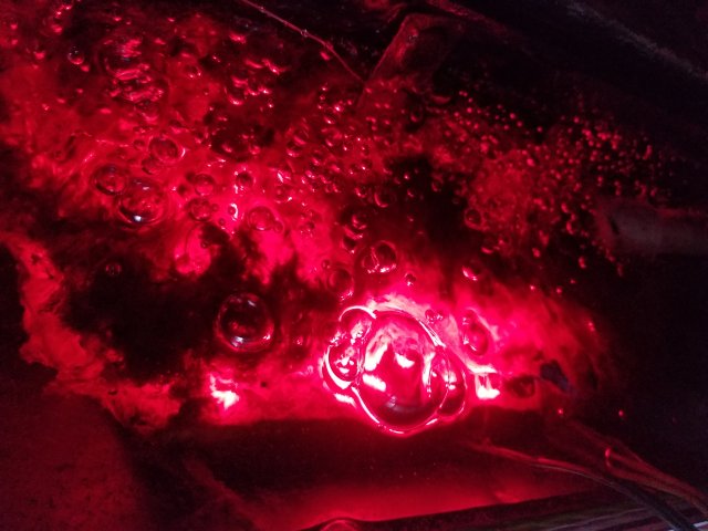 20180906_053852.jpg