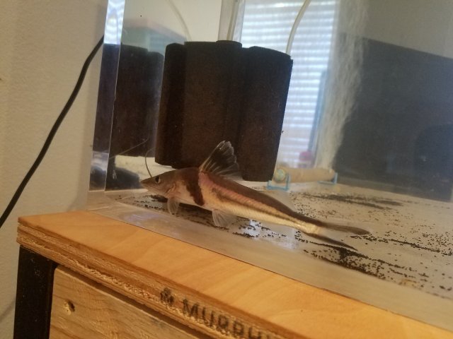 20180906_103910.jpg
