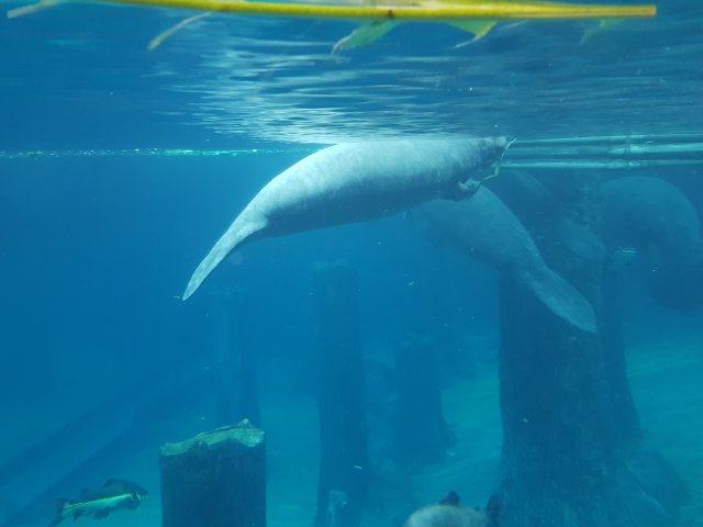 20180908_133317.jpg