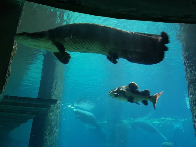 20180908_133551.jpg
