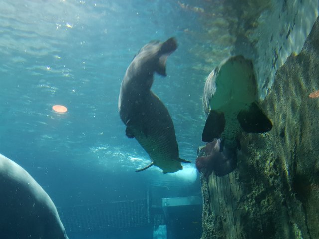 20180908_133505.jpg
