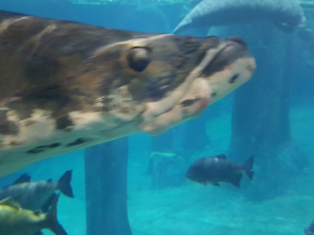 20180908_133332.jpg