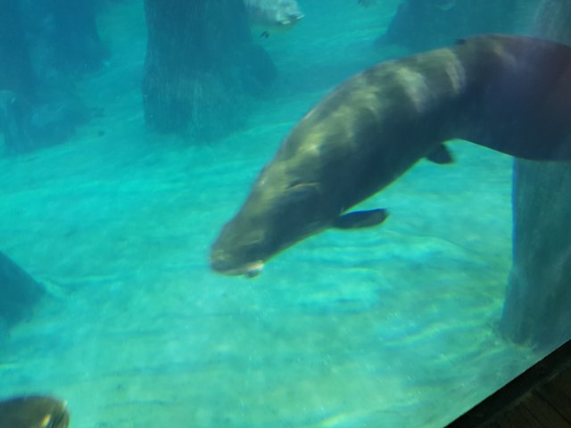 20180908_133239.jpg