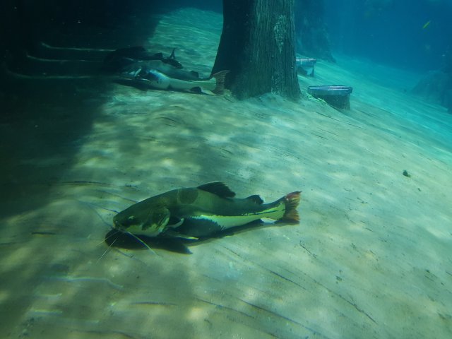 20180908_134826.jpg