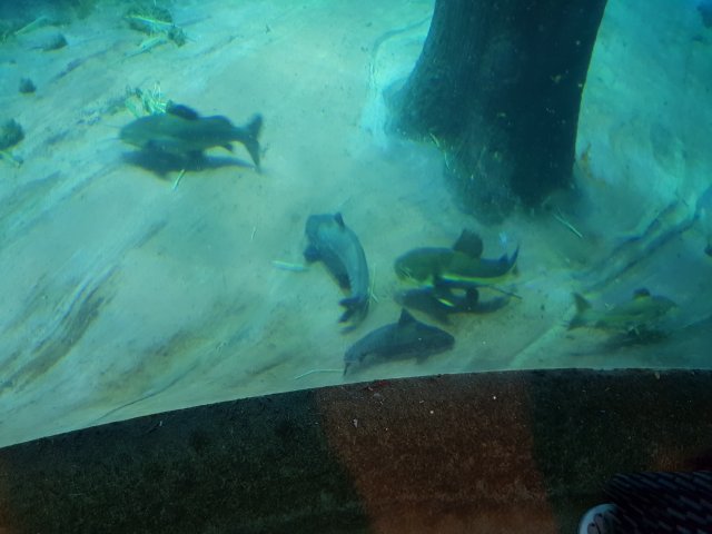 20180908_134758.jpg