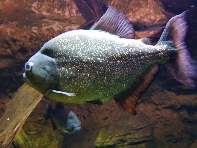 20180908_141039.jpg