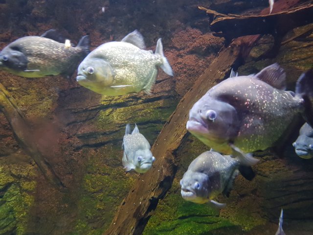 20180908_141028.jpg