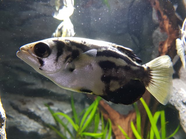 20180908_145738.jpg