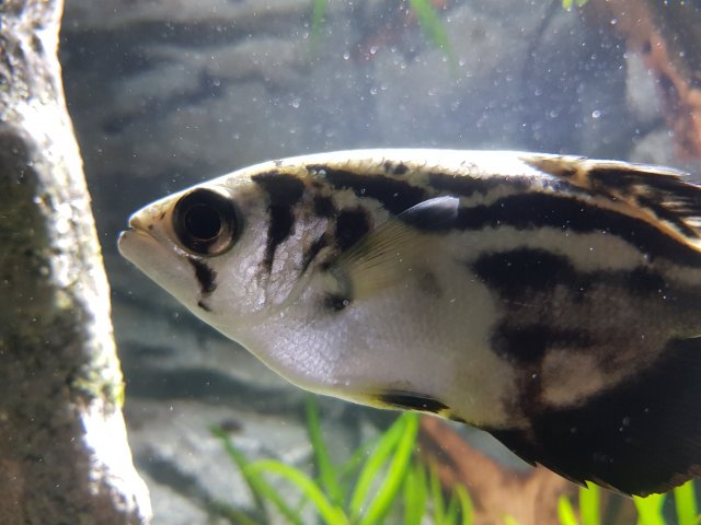 20180908_145732.jpg