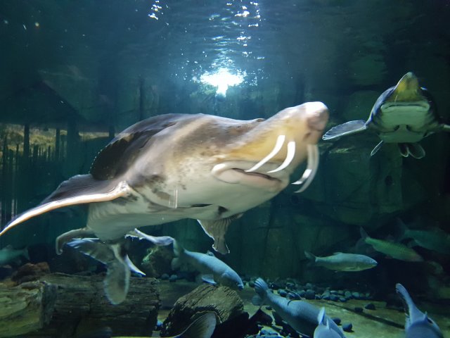 20180908_145313.jpg