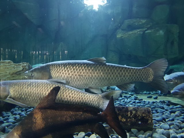 20180908_145112.jpg
