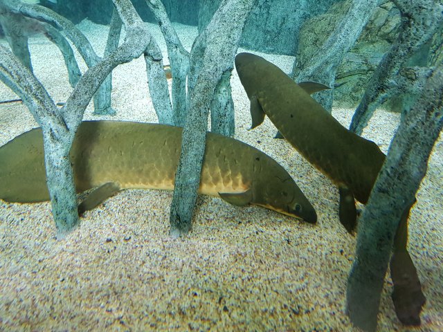 20180908_150748.jpg