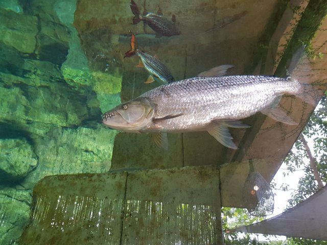 20180908_151621.jpg