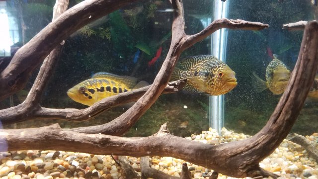 20180908_114501.jpg 20180908_114501.jpg