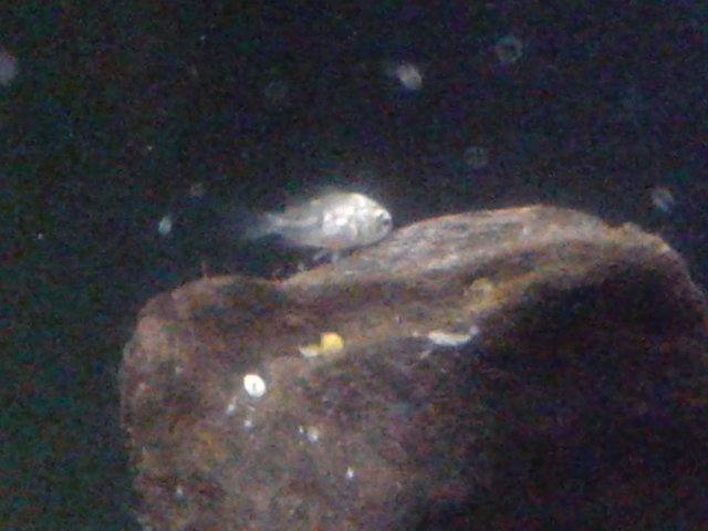 20180908_100201.jpg