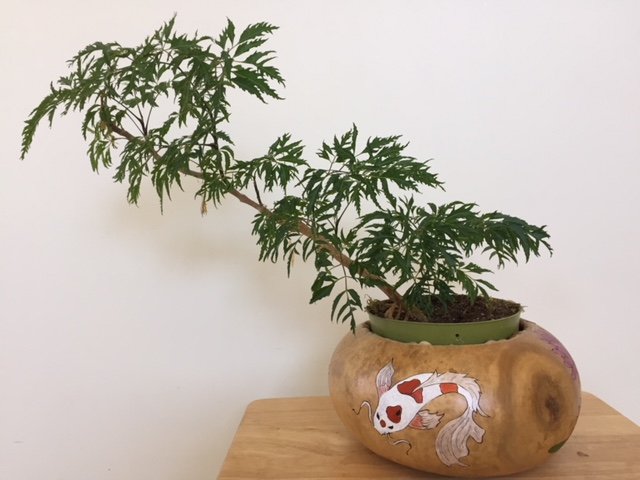 image1.jpeg