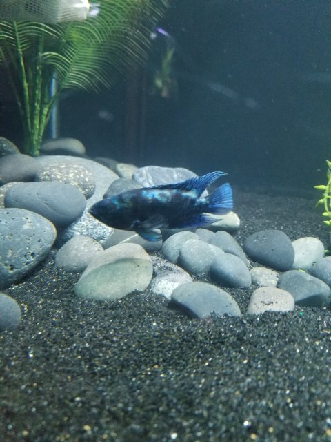 20180908_204653.jpg