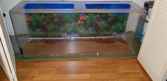 20180908_224221.jpg