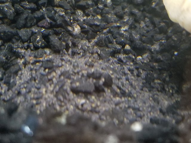 20180907_171707.jpg
