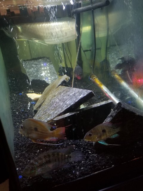 20180908_201415.jpg
