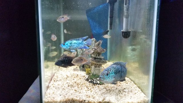 20180902_195156.jpg
