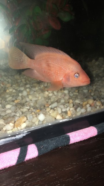 EA8823B6-D970-4770-BD09-B4AA422176D6.jpeg EA8823B6-D970-4770-BD09-B4AA422176D6.jpeg