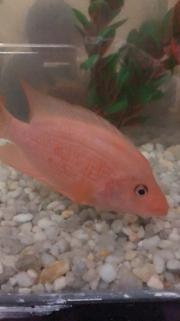 DF8B7A89-021D-4982-95AA-272391A56E2D.jpeg DF8B7A89-021D-4982-95AA-272391A56E2D.jpeg