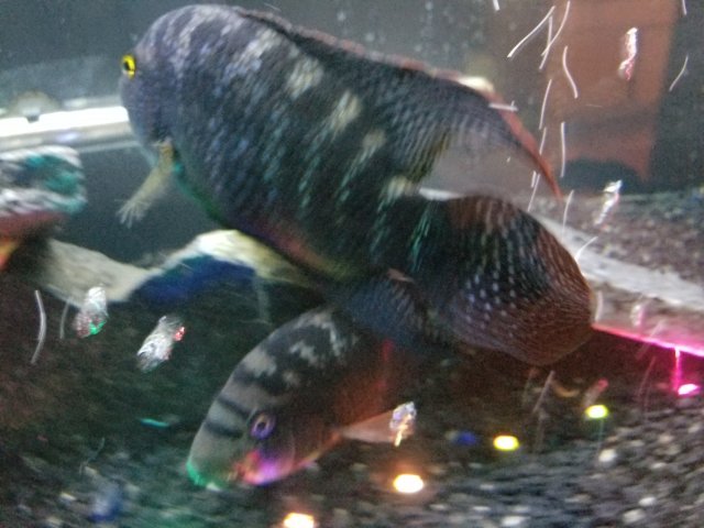 20180909_230902.jpg