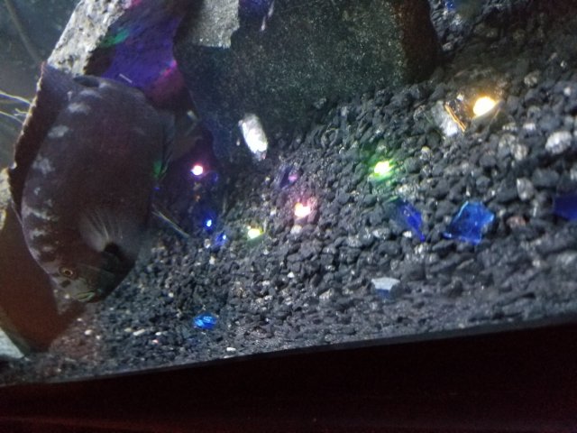 20180909_230840.jpg
