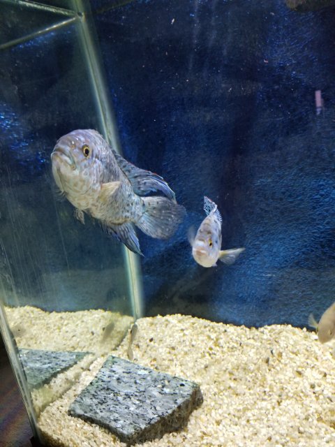 20180910_094432.jpg