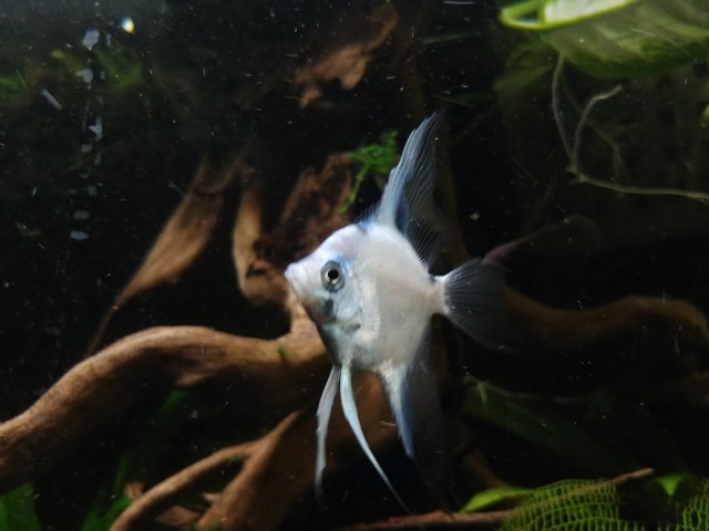 20180726_203119_HDR.jpg